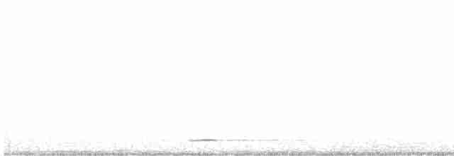 Chevêchette naine - ML615820117