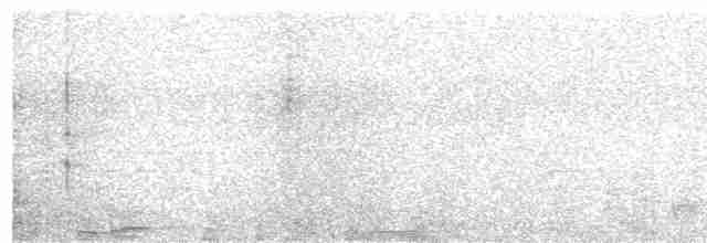Gray Nightjar - ML615820382