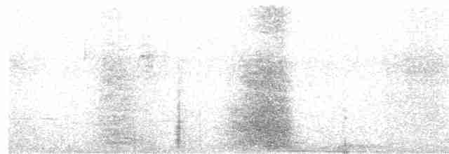Чагарниця плямистоплеча - ML615820821