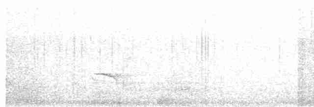 Чагарниця плямистоплеча - ML615820822