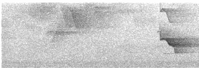 Пересмішник жовтодзьобий - ML615820948