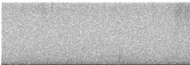 Черноспинный толстонос - ML615821607
