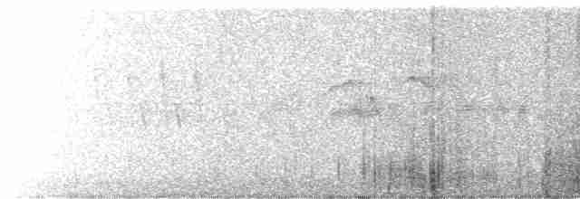 Серпокрилець-вилохвіст великий - ML615824997