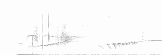 Beyaz Belli Şama - ML615830245