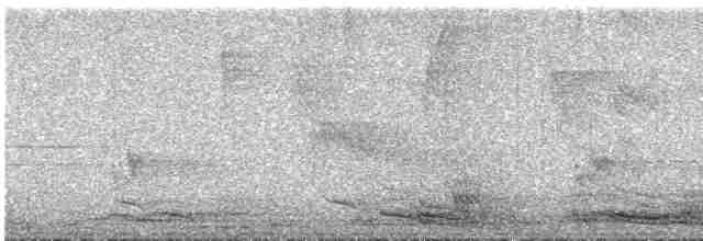 kvesal chocholatý (ssp. costaricensis) - ML615831014