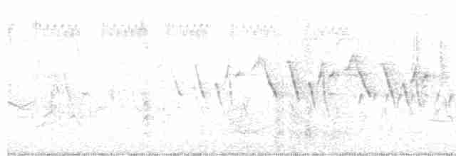 Oriole des vergers - ML615831195