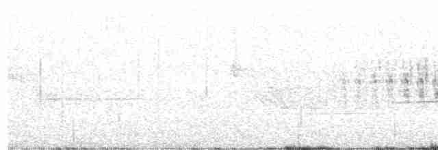 křivka bělokřídlá - ML615831299