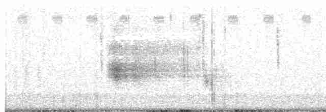 Канадская овсянка-барсучок (subvirgata) - ML615832543