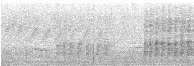 ノドジロハリオアマツバメ - ML615832547