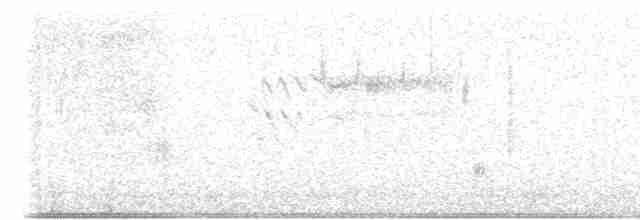 Острохвостая овсянка-барсучок - ML615832552