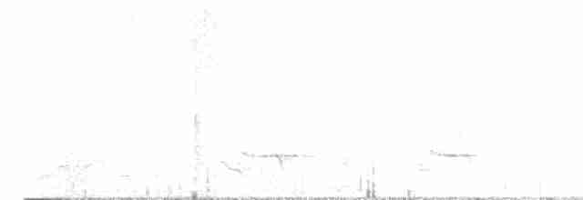 gråbuklattertrost - ML615833884