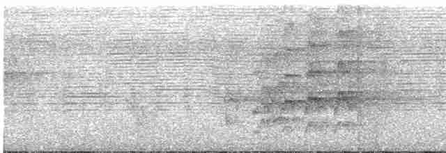 Расписная которра (picta) - ML615833911