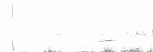Чернокрылая монашка - ML615835459