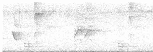 Carnifex de Minton - ML615836361