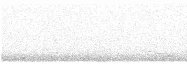 Elegant Crested-Tinamou - ML615839984