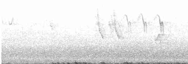 Gray Wagtail - ML615842055