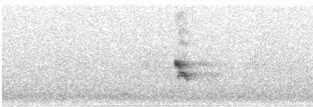 Büyük Mor Kırlangıç - ML615842529