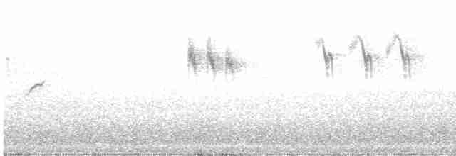 Gray Wagtail - ML615843266