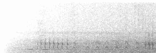 Синешапочный трогон - ML615843373