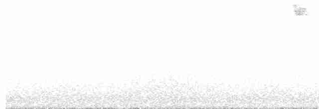 Blackpoll Warbler - ML615845139