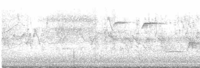 Song Sparrow (montana/merrilli) - ML615845158