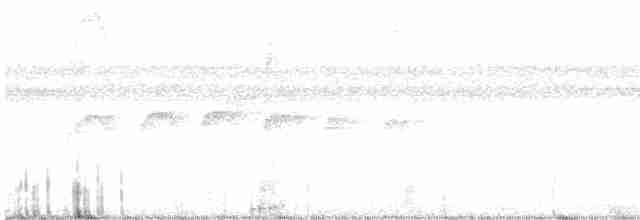 Ockerflecken-Ameisenwächter - ML615845318