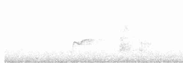 Пенелопа андійська - ML615846234