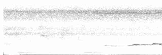 Зозуля-довгохвіст темна - ML615846619