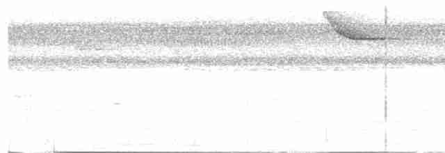 Карликовый зимородок - ML615847118