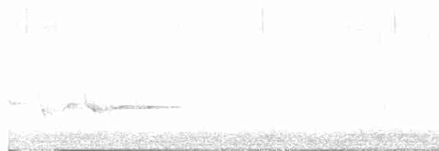シロハラムジチメドリ - ML615847520