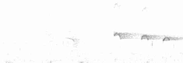 Белогорлая ложнопищуха - ML615848151