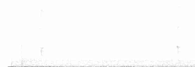 Черноспинный трёхпалый дятел - ML615849984