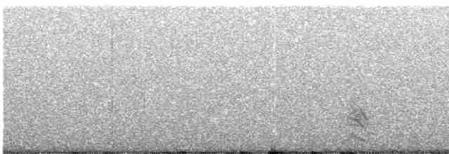短耳鴞 - ML615850330