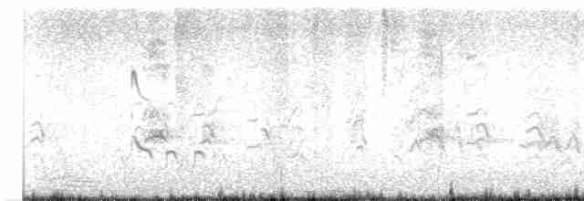 Black-tailed Godwit - ML615851537