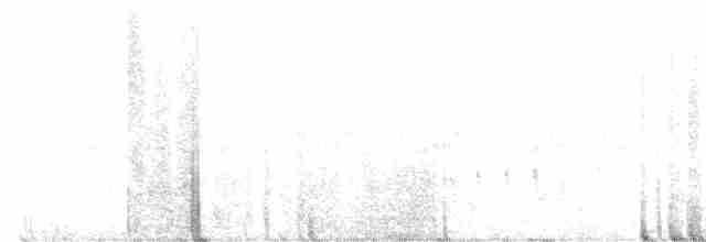 Buff-collared Nightjar - ML615853077