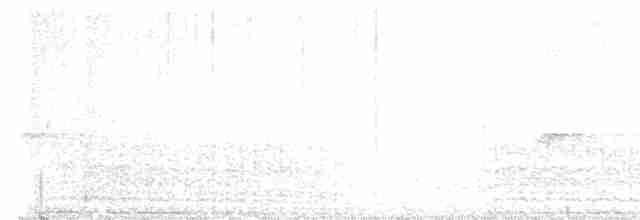 Mor Japon Güvercini - ML615855311