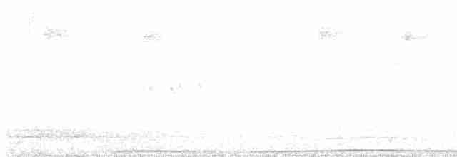 Mor Japon Güvercini - ML615855312