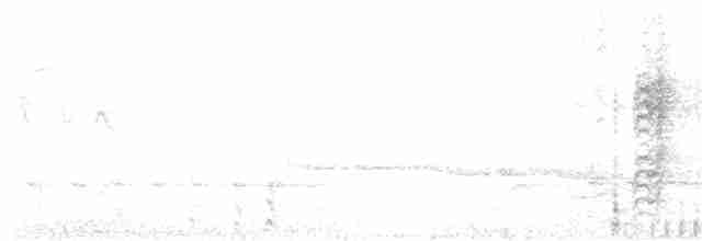 Kül Rengi Arapbülbülü - ML615856105