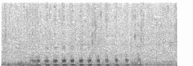 Tétras fuligineux - ML615856174