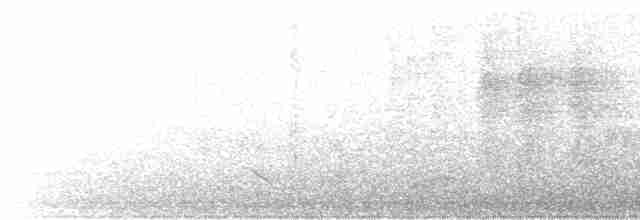 Скрытохвост татаупа - ML615857194