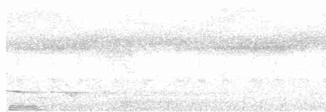Ardıç Benekli Kıvrıkgaga - ML615857232