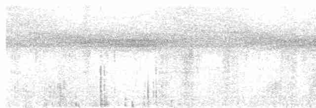 Тимелія-криводзьоб буробока - ML615857233
