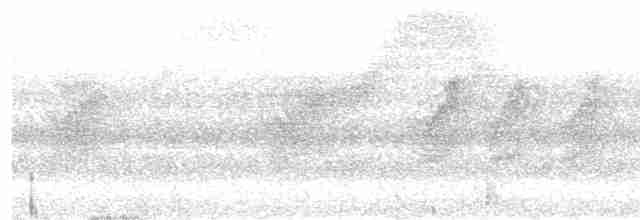 Пятнистая вилохвостка - ML615857376