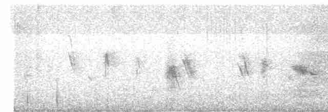 Kara Kanatlı Kar Serçesi - ML615858216