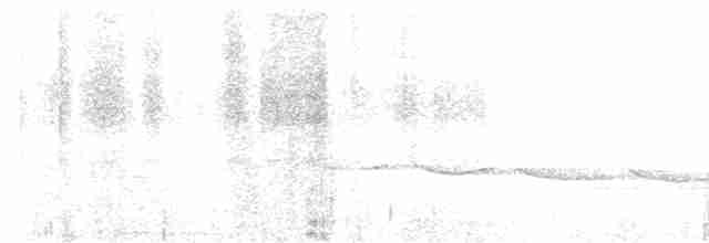 Gray-bellied Tesia - ML615859467