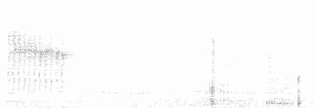 Gray-bellied Tesia - ML615859533