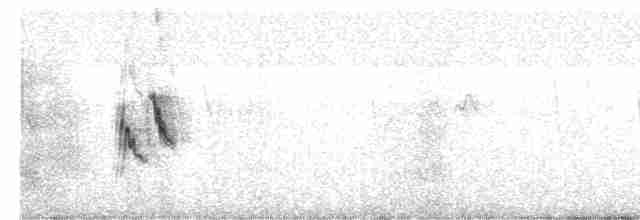 Белая трясогузка - ML615860119