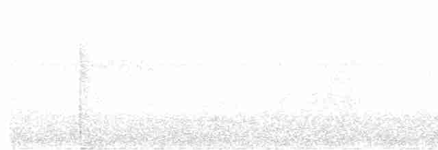 tukan pestrý - ML615860132