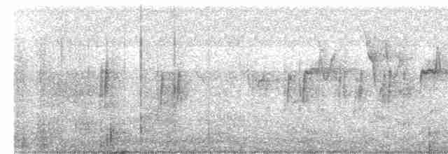 Ластівка міська (підвид urbicum/meridionale) - ML615860156
