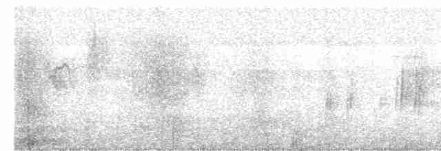 Ластівка міська (підвид urbicum/meridionale) - ML615860157